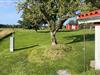 Bild 17