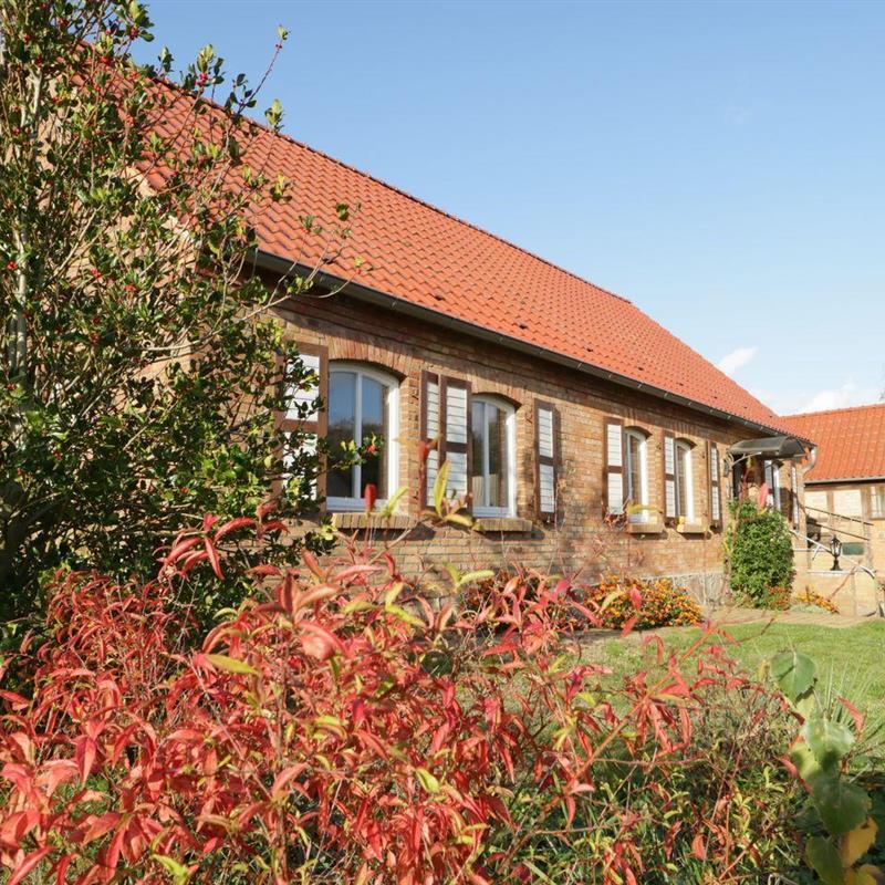 Sommerhus - 8 personer -  - Dorfstraße - 17209 - Buchholz