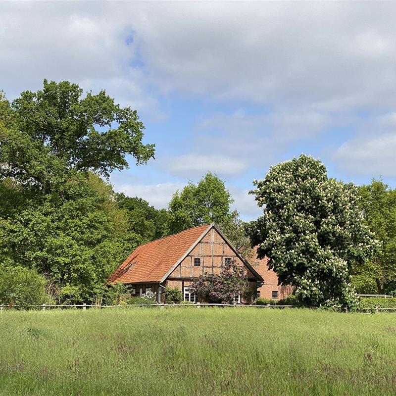 Sommerhus - 6 personer -  - Hufe - 29690 - Gilten