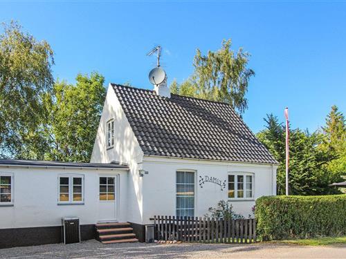 Sommerhus - 6 personer -  - Lynggårdsvej - Rutsker Højlyng - 3770 - Allinge
