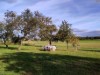 Billede 1