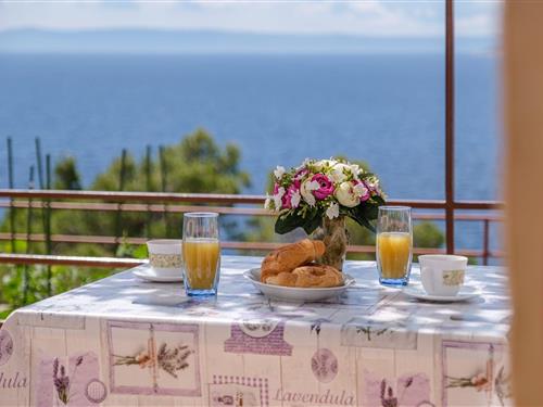 Ferielejlighed - 2 personer -  - 21322 - Brela