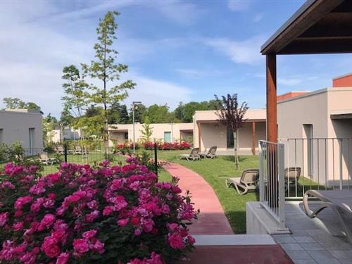 Ferielejlighed - 6 personer -  - 37011 - Cisano Di Bardolino