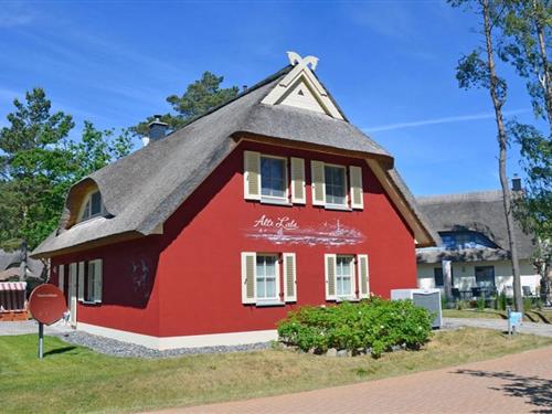 Sommerhus - 8 personer -  - 18551 - Glowe