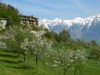 Bild 2 - Ude