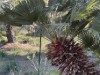 Bild 16