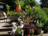 Bild 14