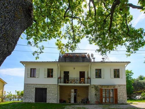 Ferielejlighed - 4 personer -  - Viale Donato Bramante - 61030 - Montefelcino