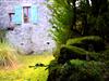 Bilde 7