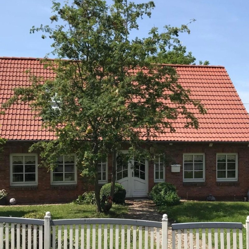 Sommerhus - 6 personer -  - 21787 - Oberndorf