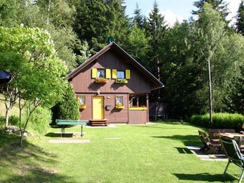 Sommerhus - 10 personer -  - 8940 - Irdning