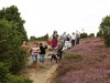 Image 14