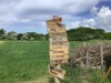 Bild 17