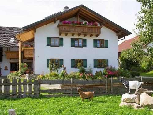 Ferielejlighed - 4 personer -  - Schwarzkreuzstr. - 86977 - Burggen