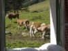 Billede 3