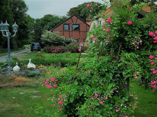 Sommerhus - 5 personer -  - 26969 - Butjadingen