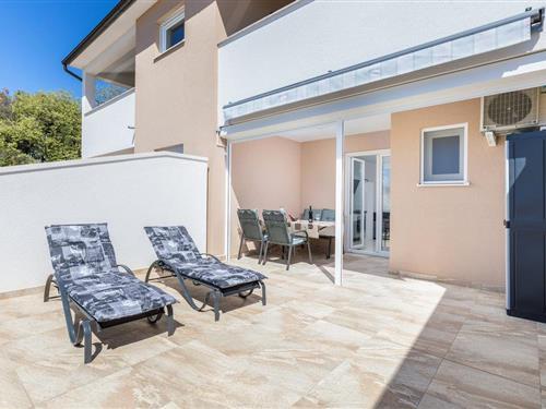 Holiday apartment - 4 persons -  - Betiga - Barbariga-Betiga - 52215 - Barbariga