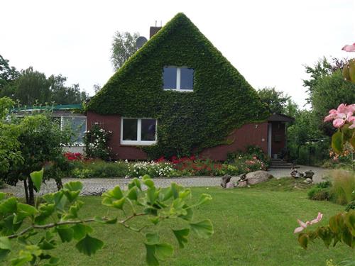 Ferienwohnung - 6 Personen -  - Haferkamp - 23714 - Malente