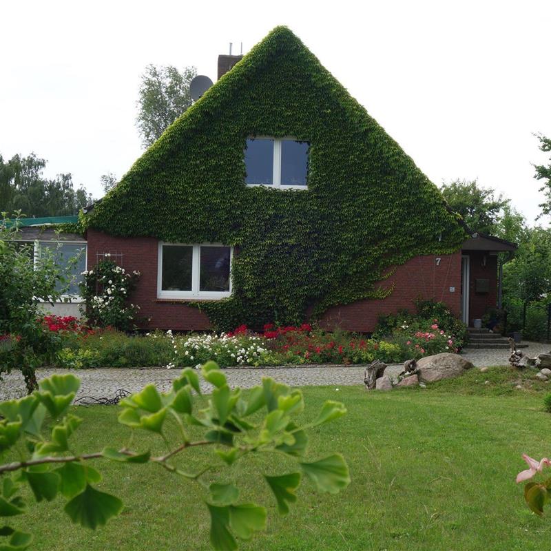 Ferielejlighed - 6 personer -  - Haferkamp - 23714 - Malente