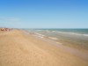 Billede 8
