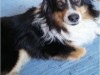 Bild 17