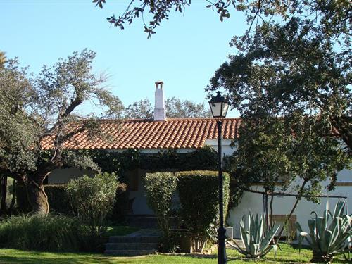 Sommerhus - 8 personer -  - 10512 - Herrera De Alcántara