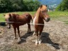 Bild 21