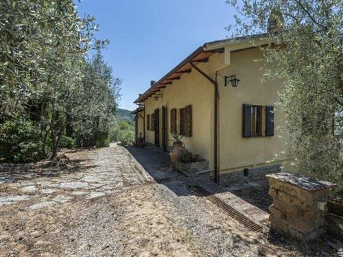 Feriehus / leilighet - 11 personer -  - 52044 - Cortona