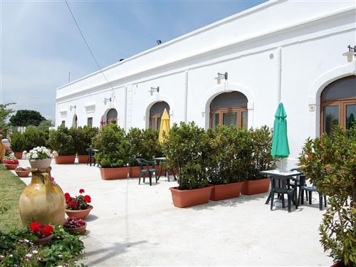 Ferienwohnung - 2 Personen -  - Cisternino - 72014