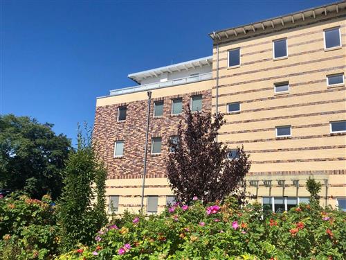 Ferielejlighed - 2 personer -  - Wiesenweg - 18347 - Dierhagen / Ostseebad Die