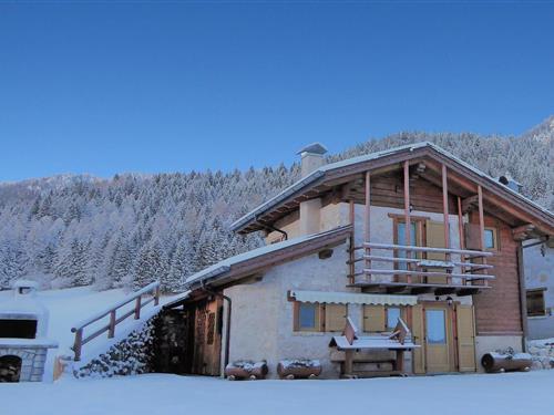 Ferienhaus - 5 Personen -  - 38054 - Transacqua -Primiero San