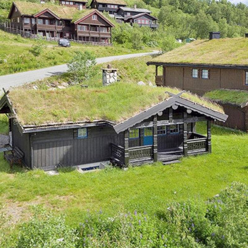 Sommerhus - 10 personer -  - Bjødnabakkvegen - 2953 - Beitostølen