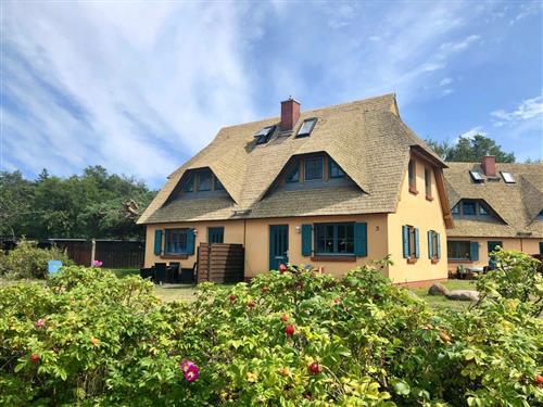 Holiday apartment - 3 persons -  - Reetort- Heide - 18347 - Wustrow