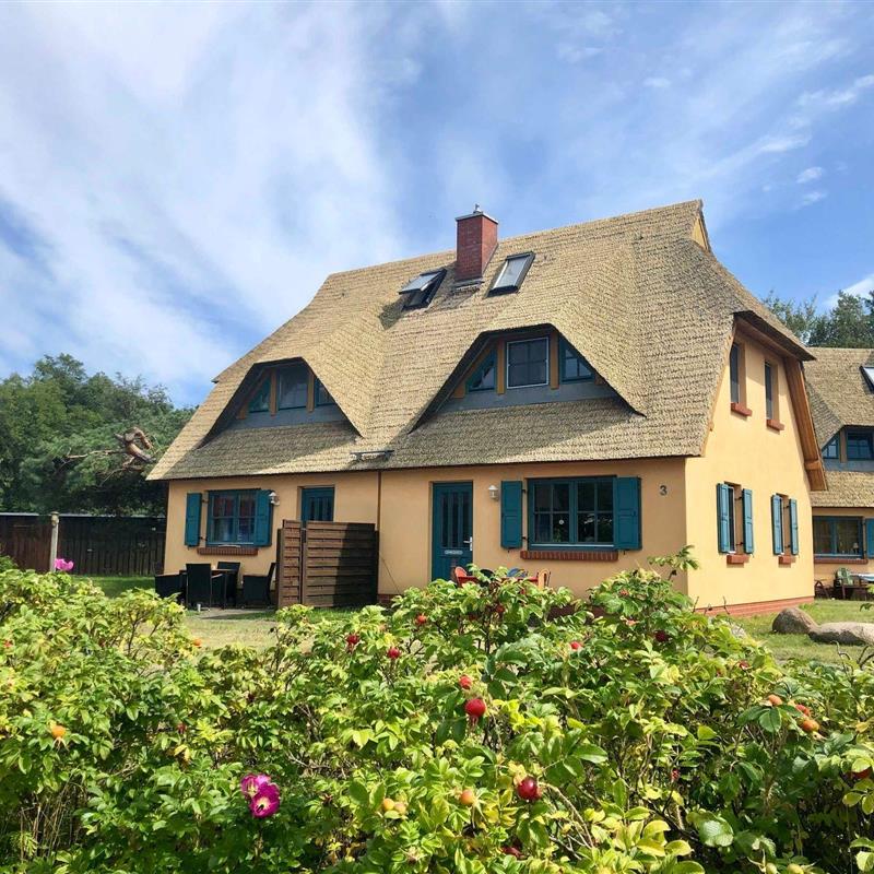 Ferielejlighed - 3 personer -  - Reetort- Heide - 18347 - Wustrow