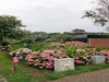 Bild 18