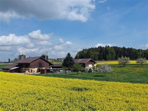 Holiday apartment - 5 persons -  - Dinhard - 8474