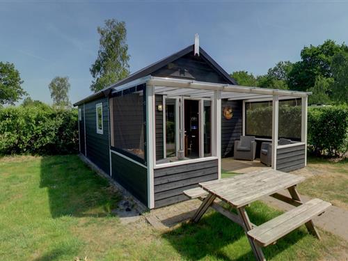 Glamping telt - 5 personer -  - 7955PT - Ijhorst