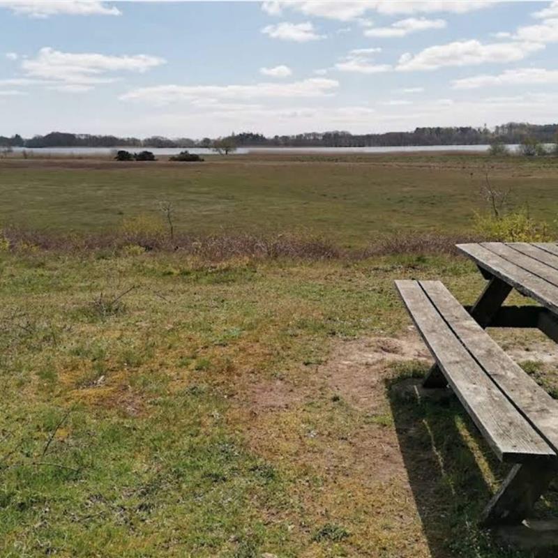 Ferienhaus - 7 Personen -  - Birkevej - Fuglslev - 8400 - Ebeltoft