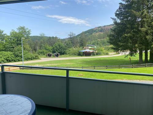Ferieleilighet - 4 personer -  - 38644 - Hahnenklee