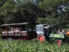 Bild 20