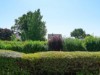 Bilde 6