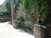 Bilde 10