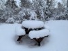 Bild 41 - Ude