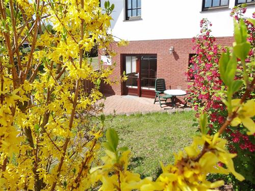 Ferielejlighed - 2 personer -  - Alfred-Partikel-Weg - 18347 - Ahrenshoop