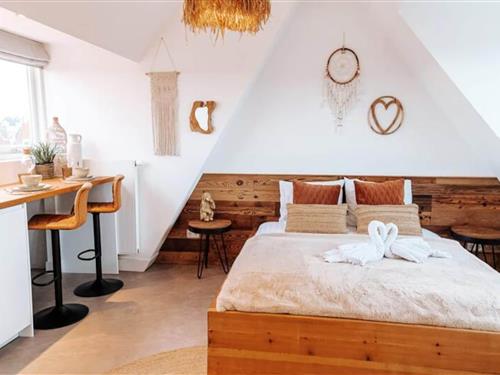 Ferielejlighed - 2 personer -  - 2042 KN - Zandvoort