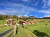 Bilde 2 - Ude