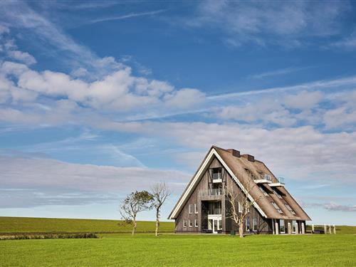 Villa - 22 personer -  - 9141CB - Wierum