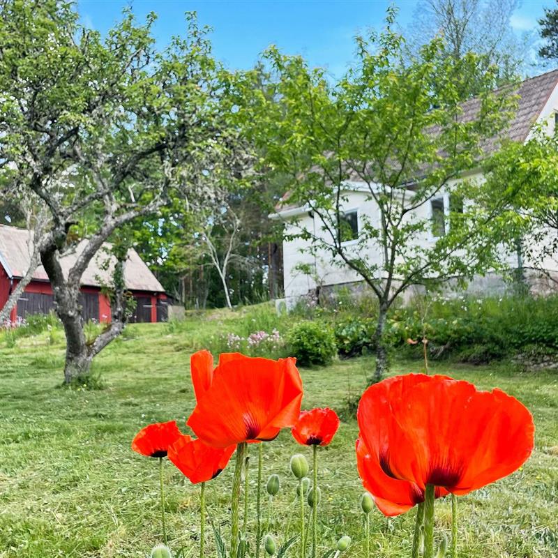  - 4 personer -  - Getabrovägen - 37492 - Asarum