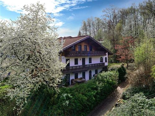 Ferieleilighet - 4 personer -  - Kasimir-Brandt-Str. - 94227 - Zwiesel