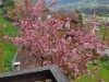 Bild 32 - Ude